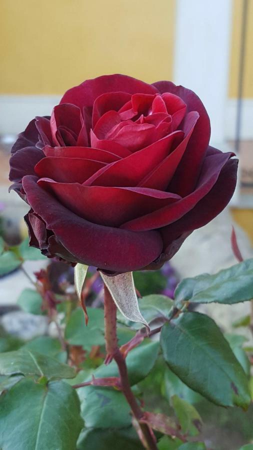 Le Rose Di Modica Villa Exterior foto